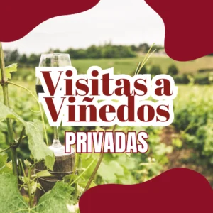 Experiencia de Enoturismo